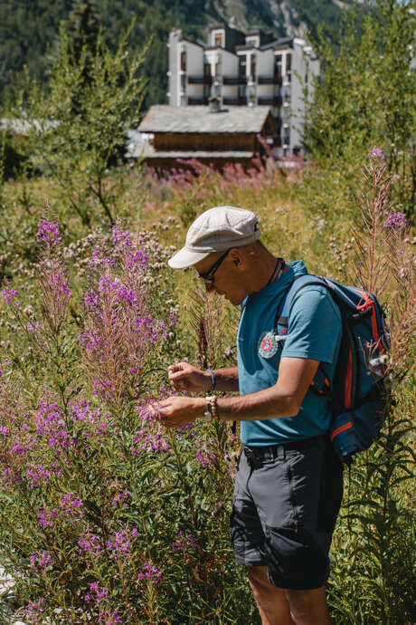 Le Chemin des herbes