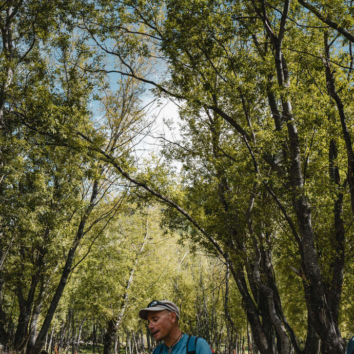 L'univers extraordinaire des arbres